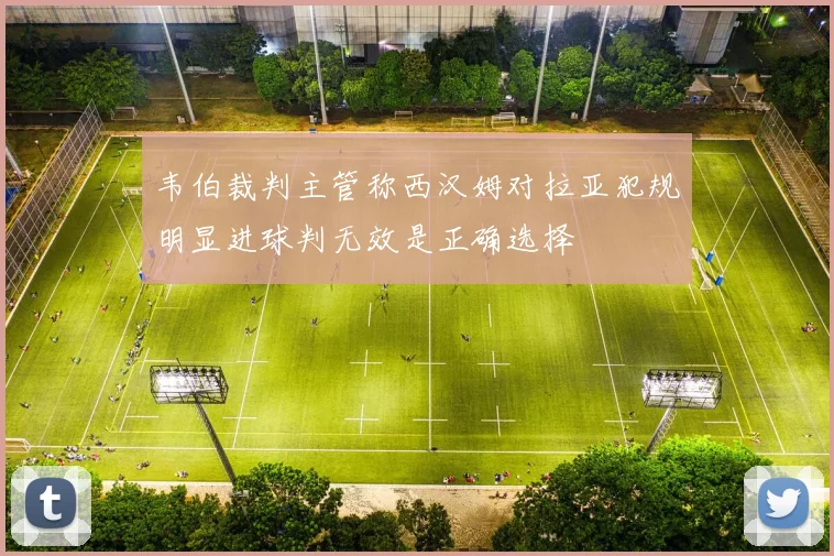 韦伯裁判主管称西汉姆对拉亚犯规明显进球判无效是正确选择